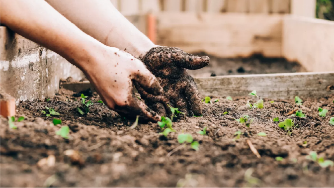 Garden tools in soil