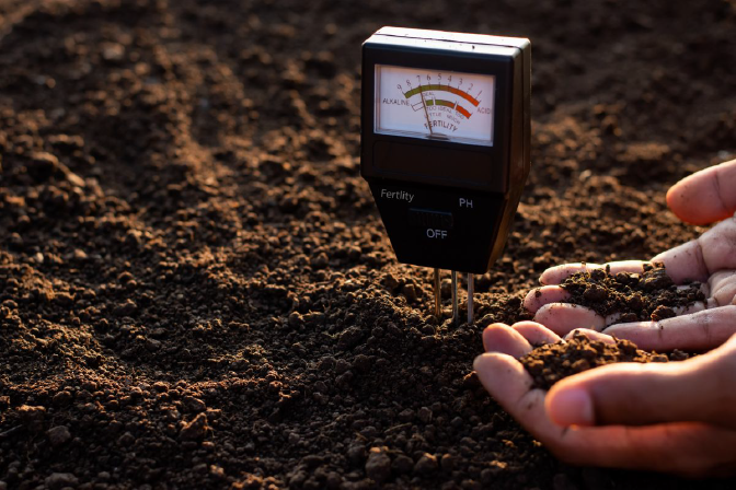 Soil PH Tester in Soil